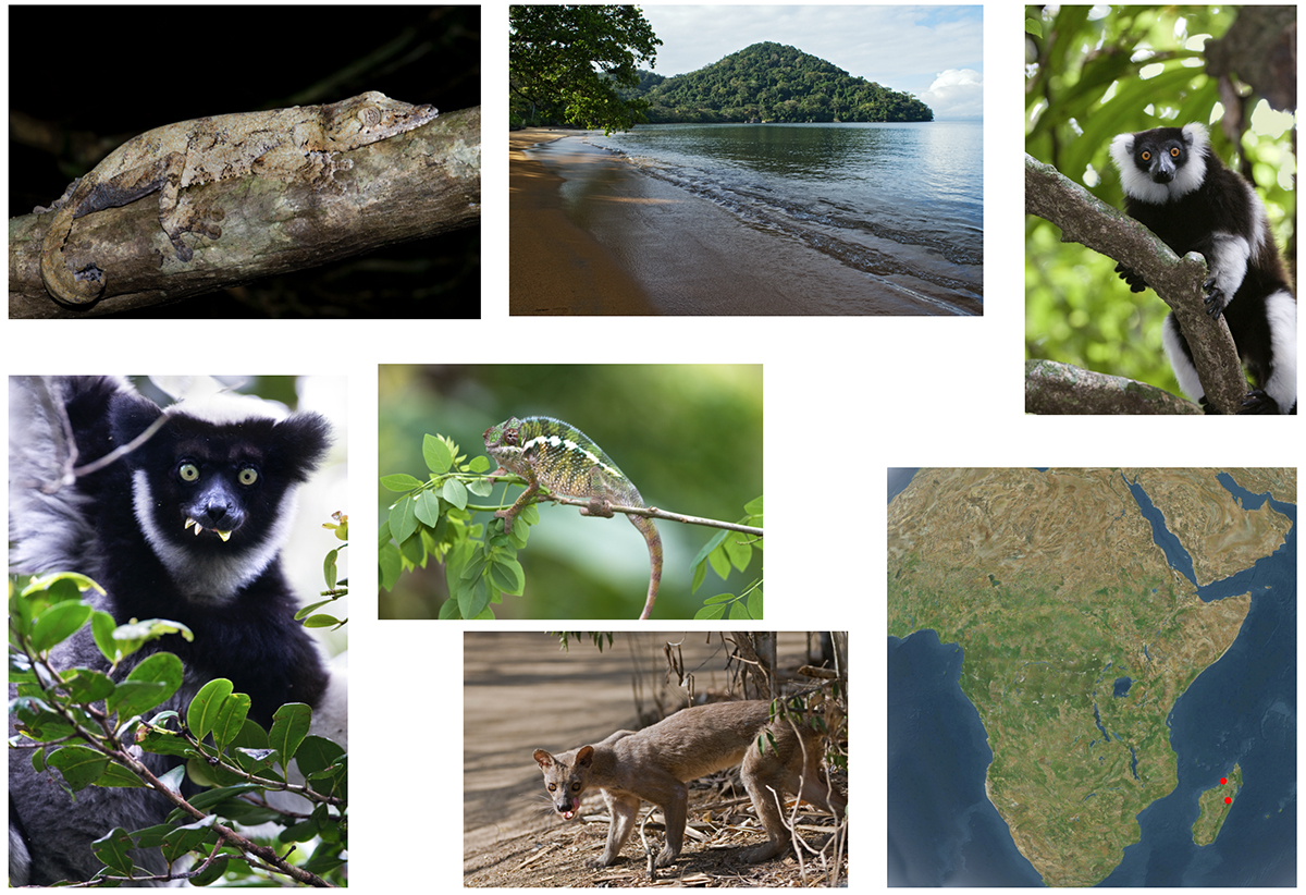 Festival of Wildlife 2026 in Madagascar